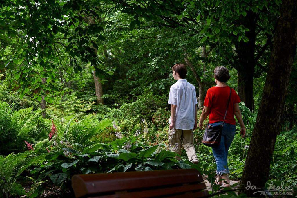Walk in the shade Walk in Montreal's Botanical Garden